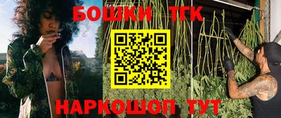 PSILOCYBIN Абакан