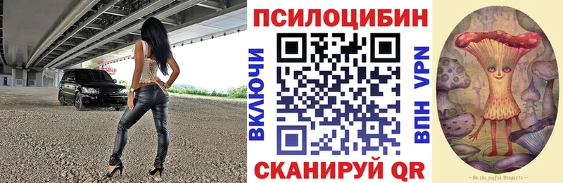 Псилоцибиновые грибы Cubensis  Курск 