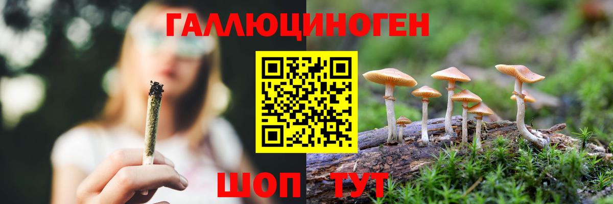Галлюциногенные грибы мухоморы  Курск  Галлюциногенные грибы GOLDEN TEACHER 